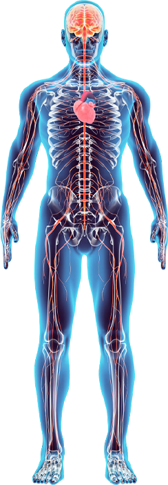 俄罗斯贵宾会·(中国)集团