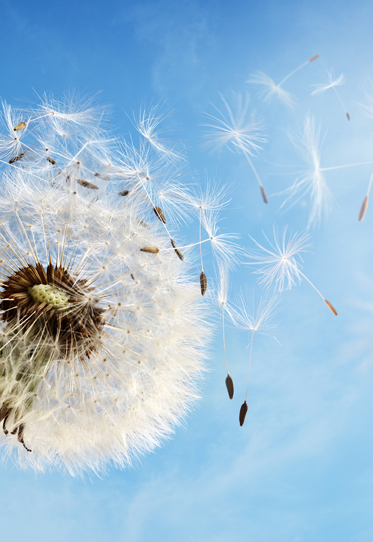 俄罗斯贵宾会·(中国)集团