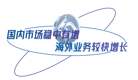 国内市场稳中有增，海表业务较快增长.png