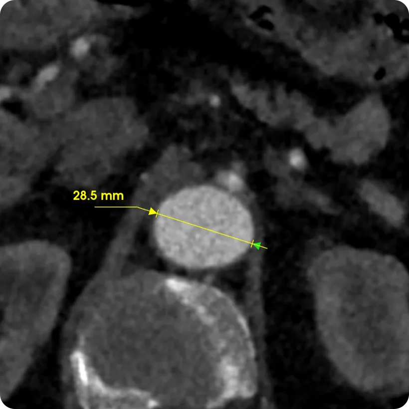 俄罗斯贵宾会·(中国)集团