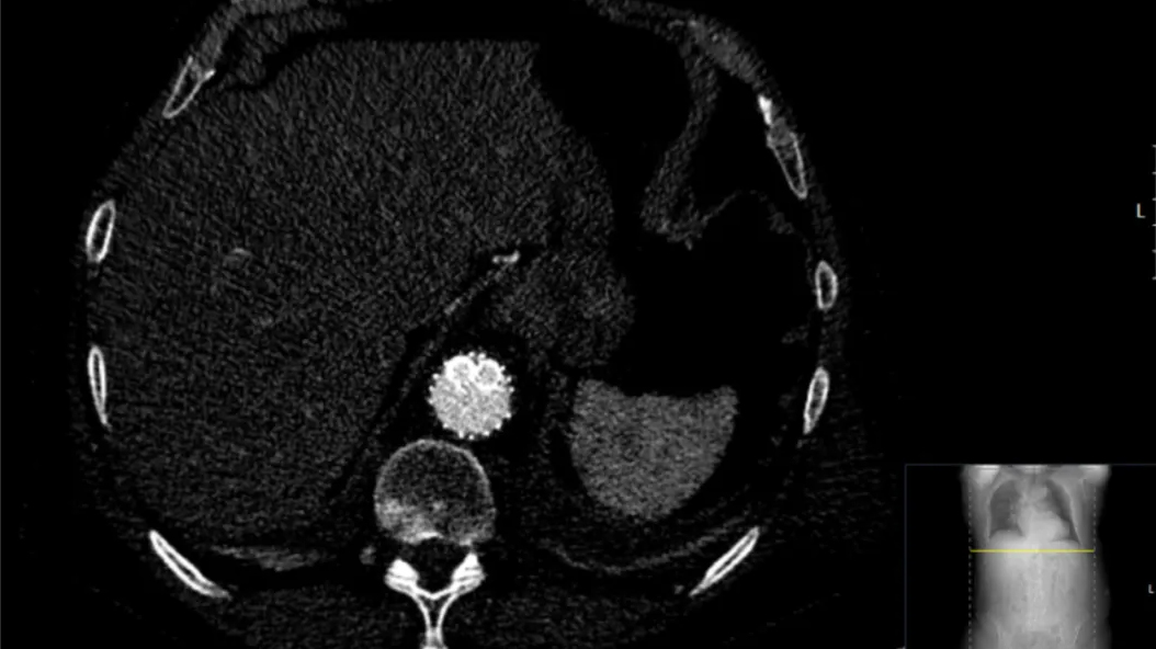 俄罗斯贵宾会·(中国)集团