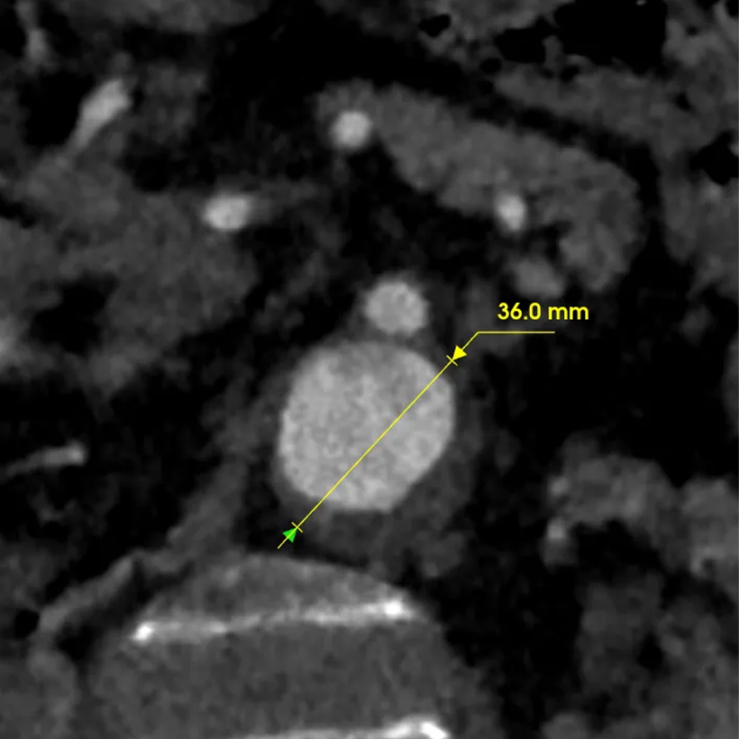 俄罗斯贵宾会·(中国)集团